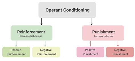 Reinforcement response. . 4 types of operant conditioning examples